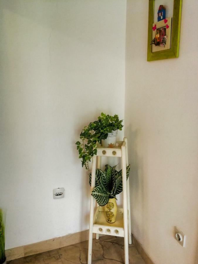 Apartman Damir Sumartin Exterior photo